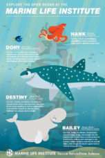 Nonton Film Finding Dory: Marine Life Interviews (2016) Sub Indo