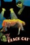 Nonton Film The Black Cat (1934) Sub Indo Nonton Film The Black Cat (1934) Sub Indo
